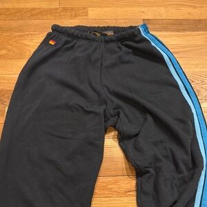Aviator Nation Navy Joggers with Blue Stripe